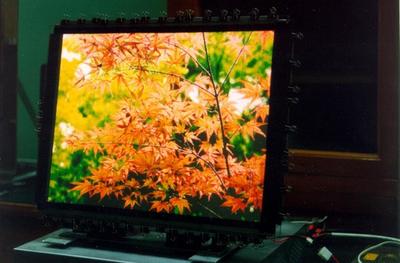 沉痛哀悼孙鉴教授 显示器件领域的璀璨星辰